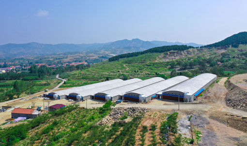 ရှန်ဒေါင်း အသားဘဲလှောင်အိမ်မွေးမြူရေးစီမံကိန်း