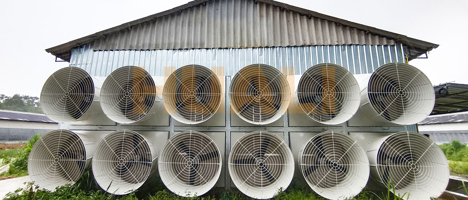 ထိုင်းနိုင်ငံရှိ ဥခွံမွေးမြူရေးစီမံကိန်း