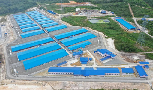 မလေးရှား ဝက်မ ၂၀၀၀ မွေးမြူရေးခြံ စီမံကိန်း