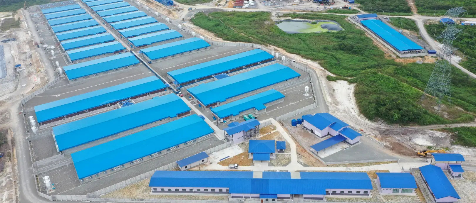 မလေးရှား ဝက်မ ၂၀၀၀ မွေးမြူရေးခြံ စီမံကိန်း