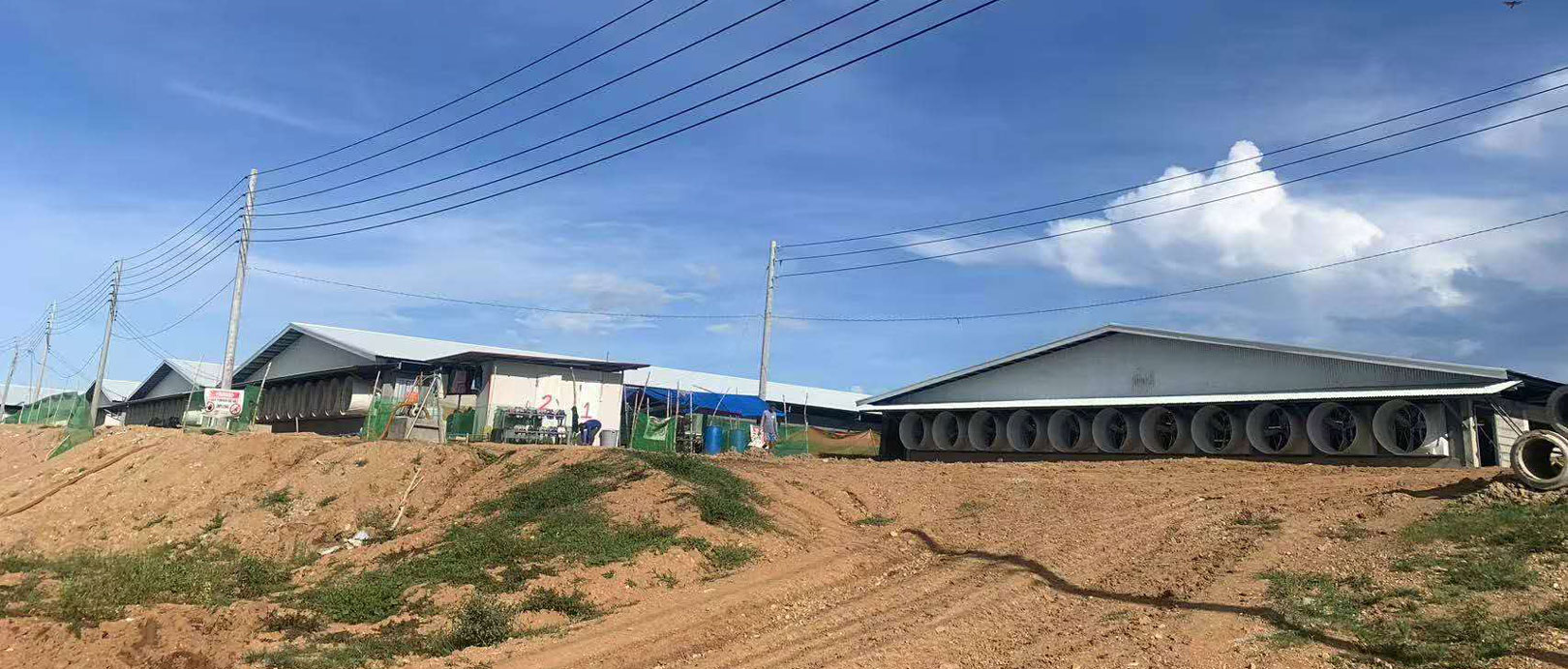 ဖိလစ်ပိုင် ဝက်မ ၃၀၀၀ မွေးမြူရေးခြံစီမံကိန်း