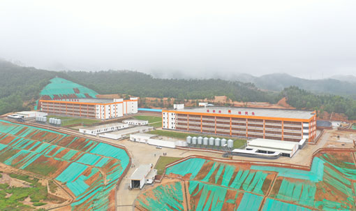 ကွမ်တုံ ဂျင်ဇင်နွန် ဘက်စုံသုံး ဝက်ခြံစီမံကိန်း