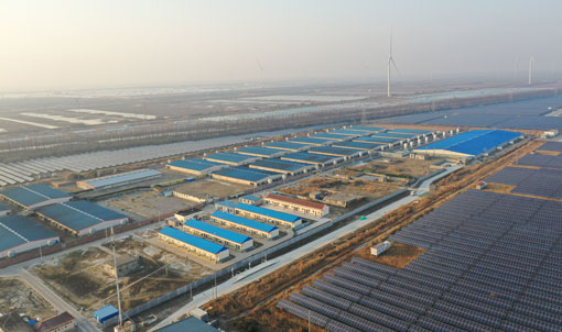 Jiangsu Dongtai COFCO အဆီထုတ်ခြံစီမံကိန်း