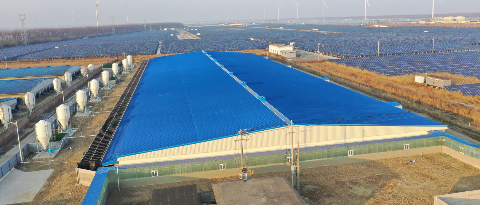 Jiangsu Dongtai COFCO အဆီထုတ်ခြံစီမံကိန်း