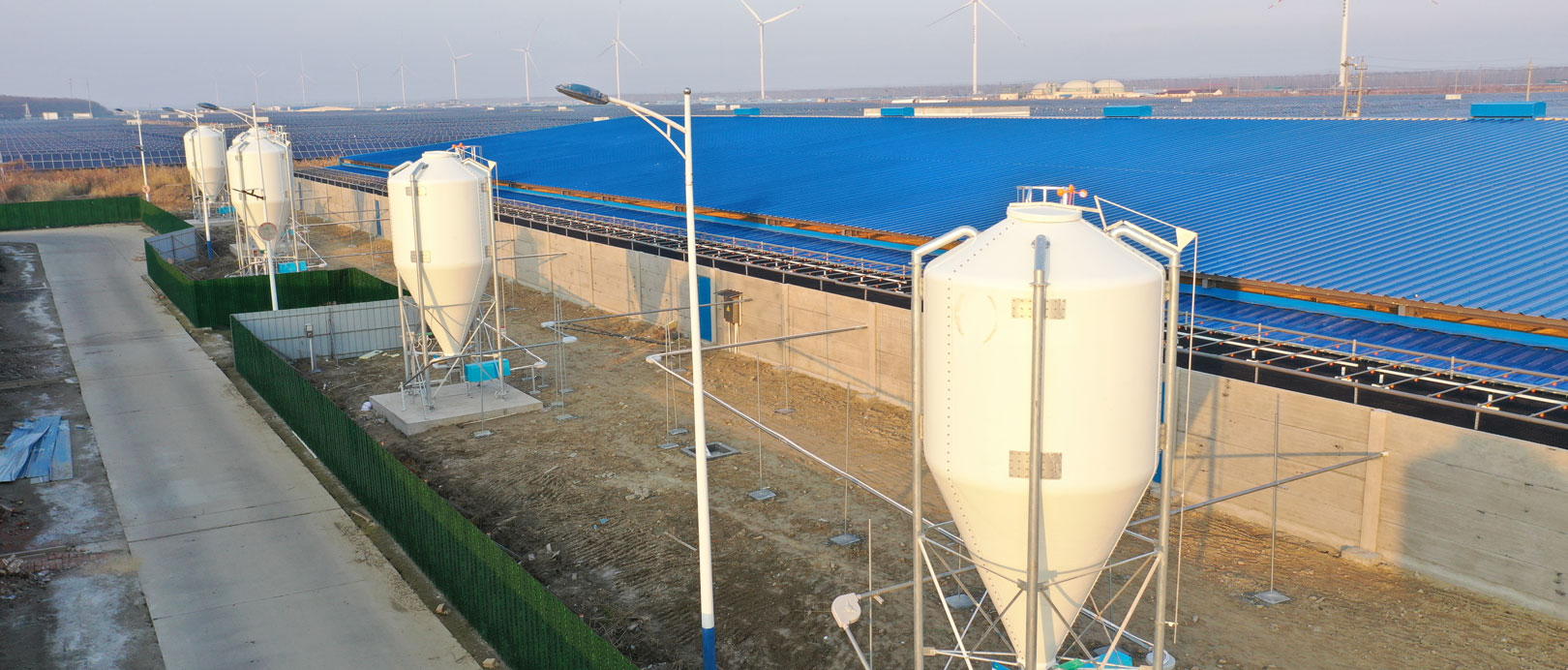 Jiangsu Dongtai COFCO အဆီထုတ်ခြံစီမံကိန်း