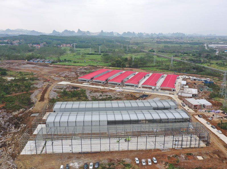 Guigang Tongfa ငှက် ၃.၆ သန်း - ငှက်မွေးမြူရေးကွင်းဆက် စီမံကိန်း