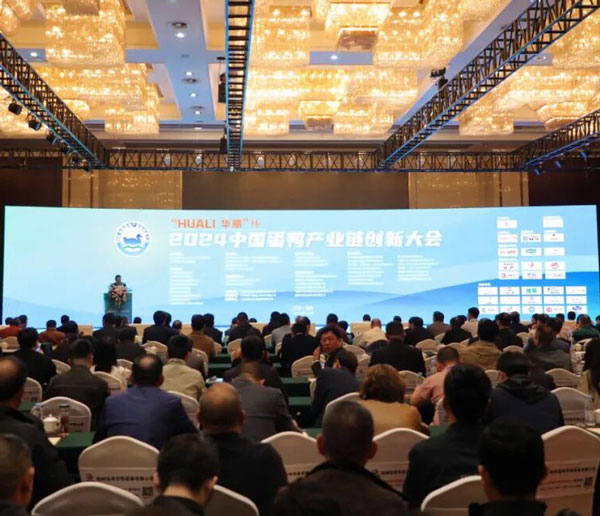 "နည်းပညာသည် ဖွံ့ဖြိုးတိုးတက်မှုကို တွန်းအားပေးသည်၊ ဆန်းသစ်တီထွင်မှုသည် အနာဂတ်ကိုပုံဖော်ပေးသည် | Huali သည် ဘဲဥလုပ်ငန်းကွင်းဆက်ကို သင်နှင့် ဆွေးနွေးနေသည်"