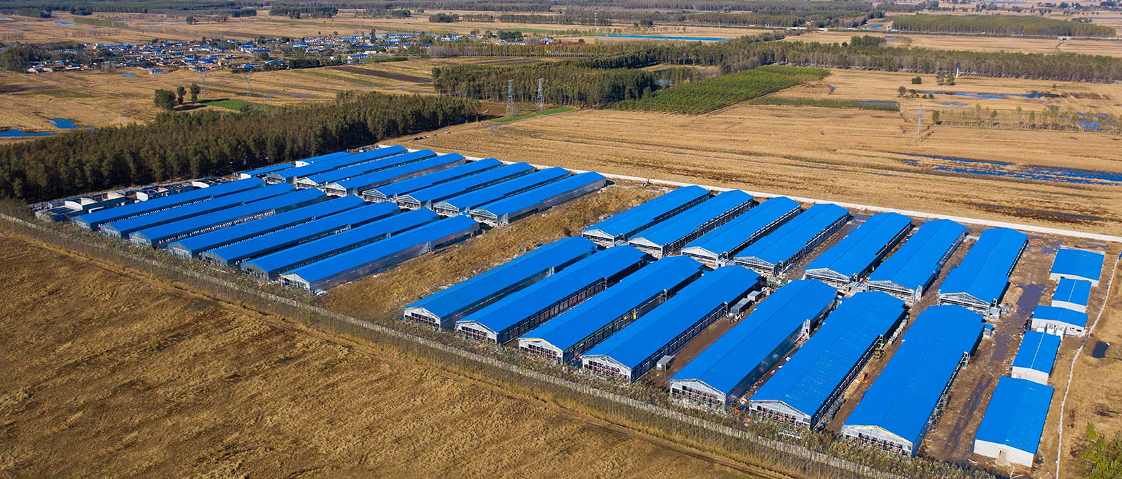 Fuxin Shuanghui အသားစားကြက်လှောင်အိမ်မွေးမြူရေးစီမံကိန်း