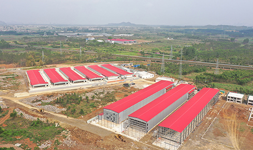 Guigang Tongfa 3.6 သန်း-ငှက်ပြည့်စက်မှုလုပ်ငန်းကွင်းဆက်အလွှာ မွေးမြူရေးစီမံကိန်း